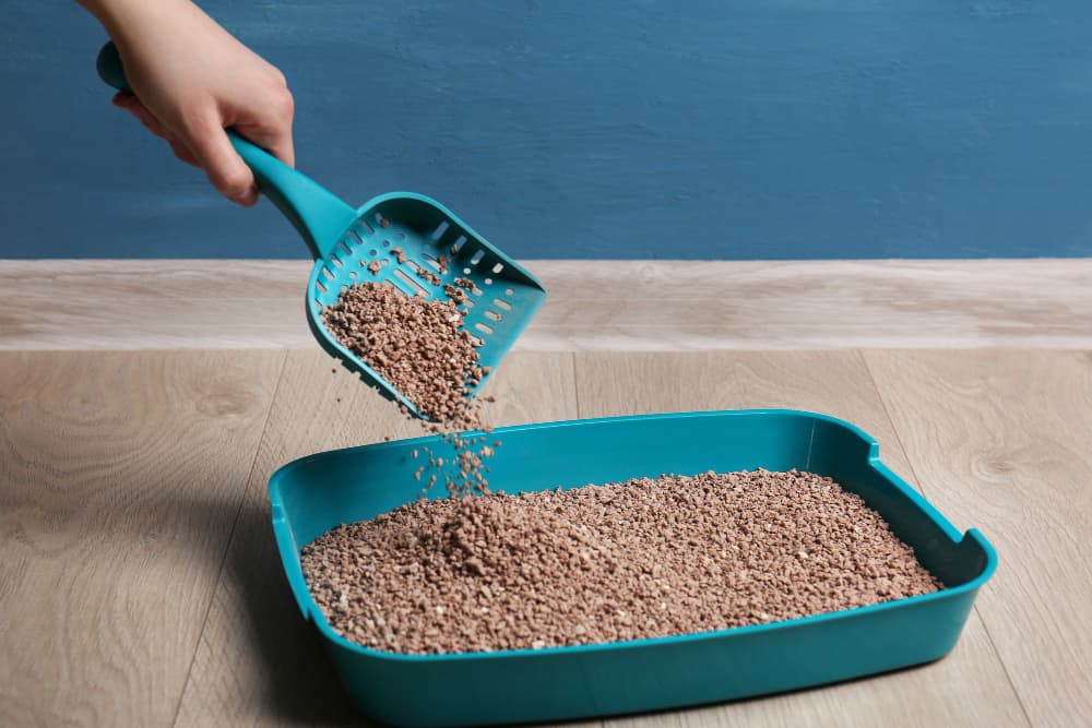 woman cleaning litter box with scoop floor