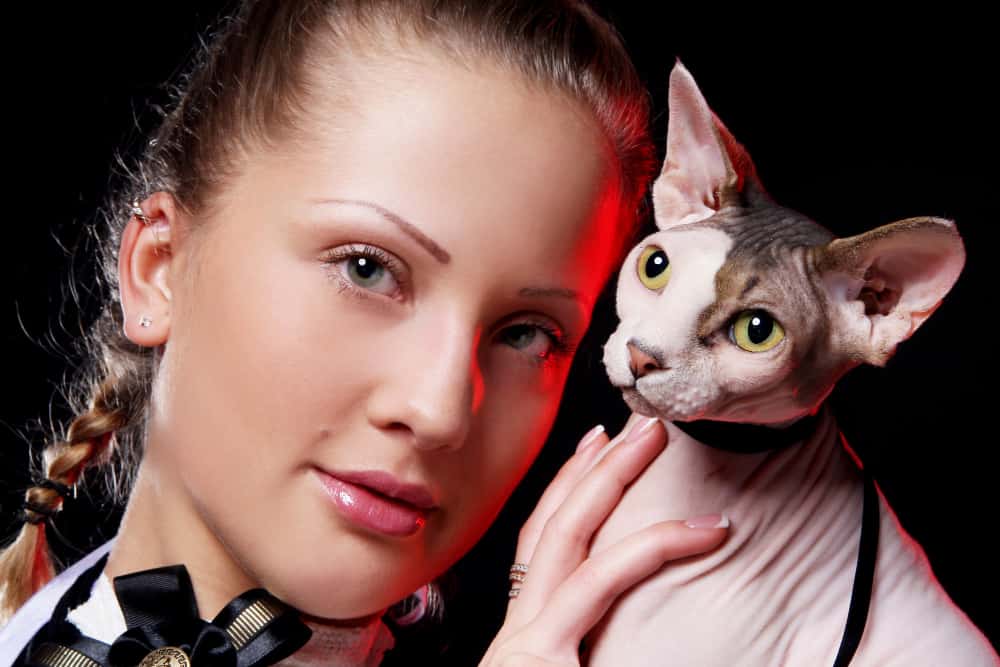 Olhos do gato estão dilatados: Por que ? Saiba mais. 5 olhos do gato estão dilatados