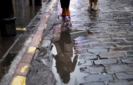 passeando com o cachorro na chuva