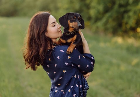 Características do Dachshund