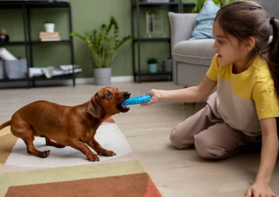 criança com o dog