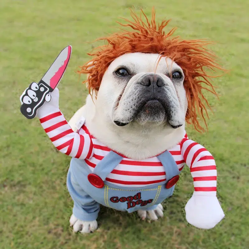 Fantasias-de-cachorro-de-halloween-roupas-engra-adas-para-animais-de-estima-o-ajust-veis-cachorro.jpg_Q90.jpg_