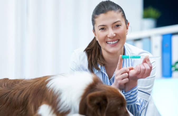 vacinando o dog