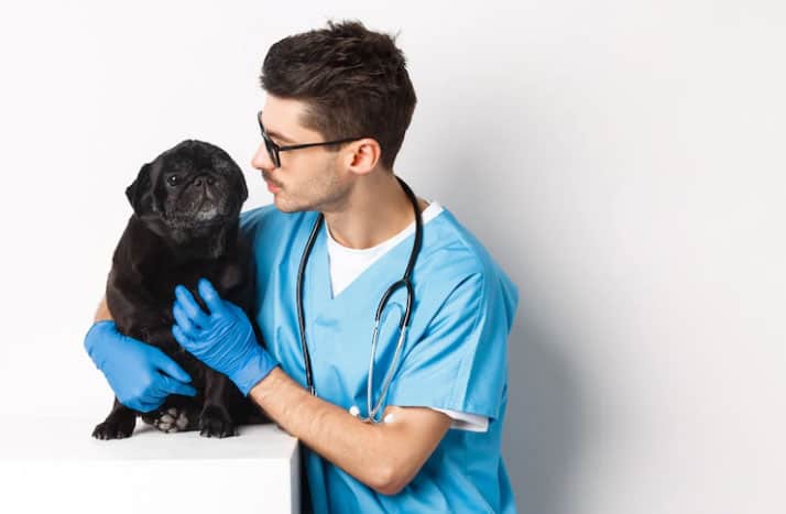 veterinário com o cachorro