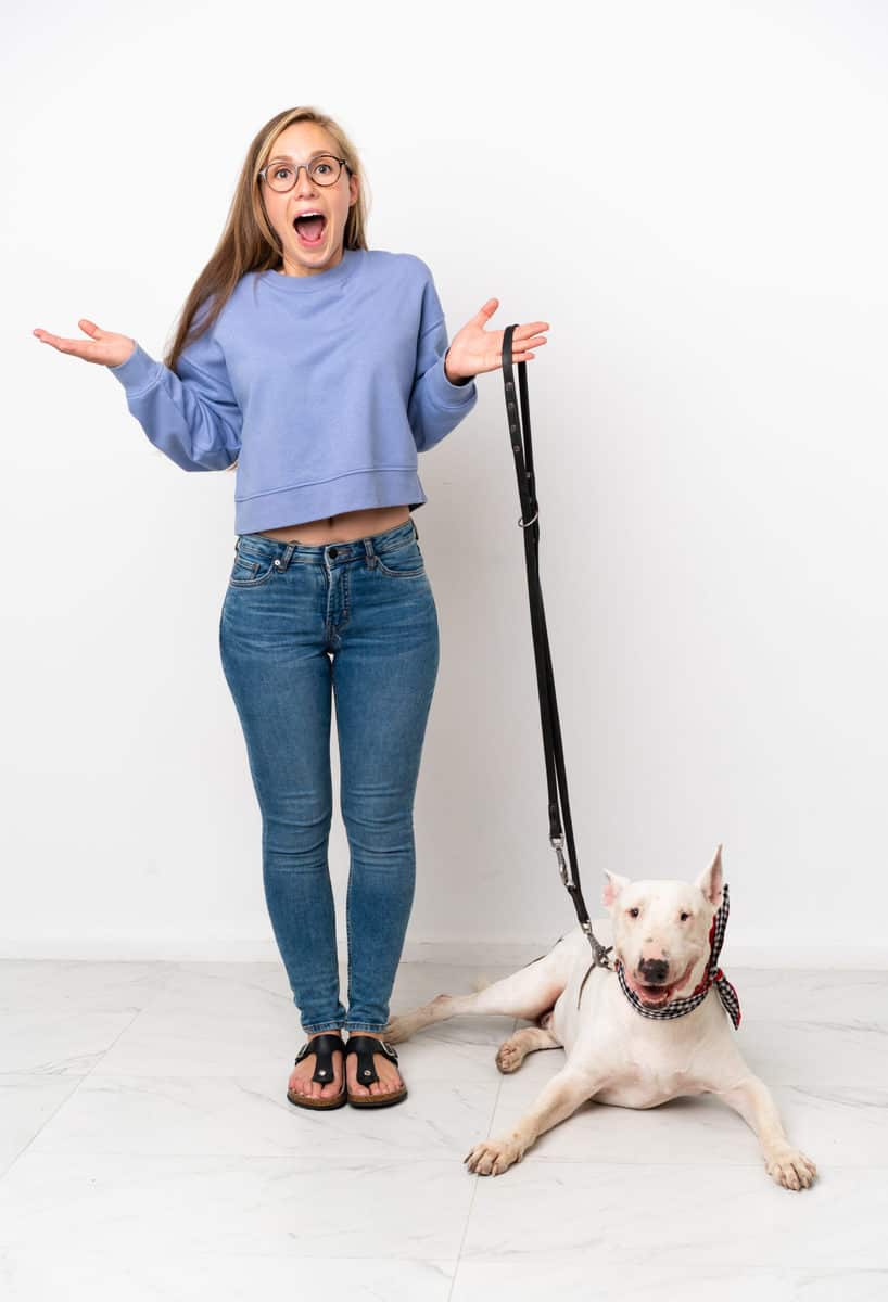 Cães e humanos: as 6 regras do líder da matilha 9 Cães e humanos