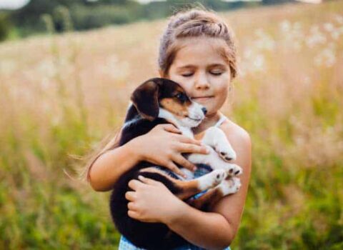 Coisas de cachorro filhote