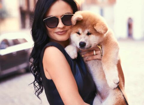 insta canino