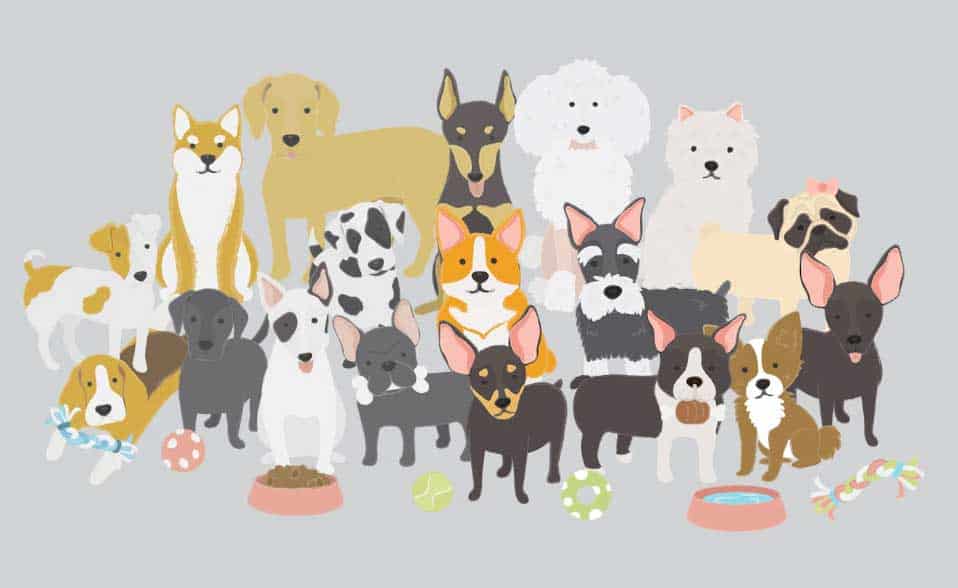 vários cães