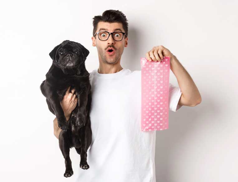 tutor e cão