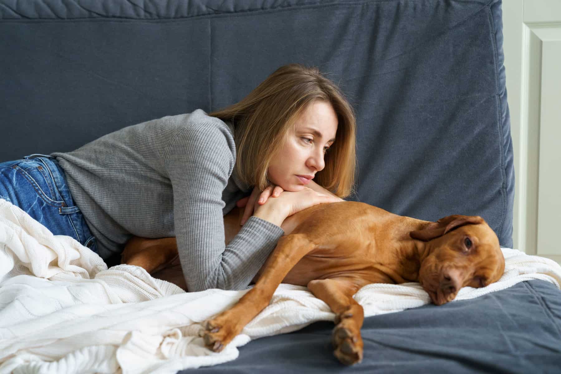 Woman caring of old sick dog. Unhappy female lying on couch embracing tired ill vizsla after illness