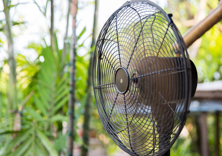 Cachorro gosta de ventilador? 2 ventilação para cachorro