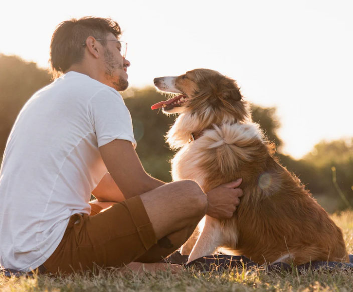 Filhote de cachorro pode tomar sol? 3 filhote de cachorro pode tomar sol