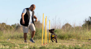 Tutor treinando o seu cachorro - Foto: Freepik