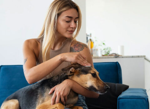 tutora limpando o ouvido do cachorro