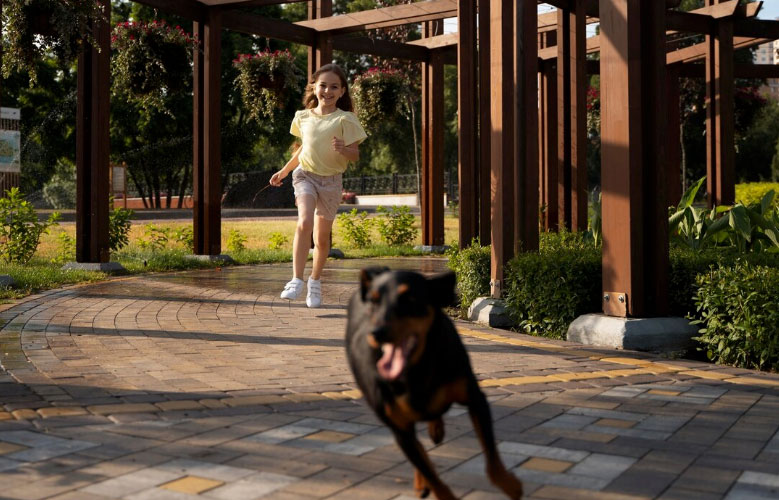 cão no parque