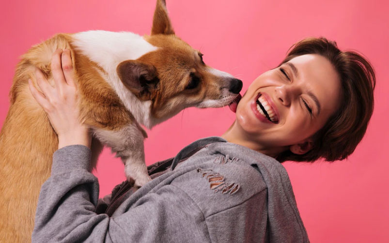 a emoção dos cães