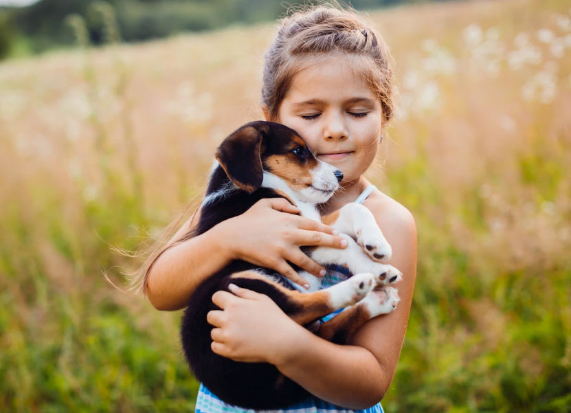 amizade verdadeira entre cães e crianças