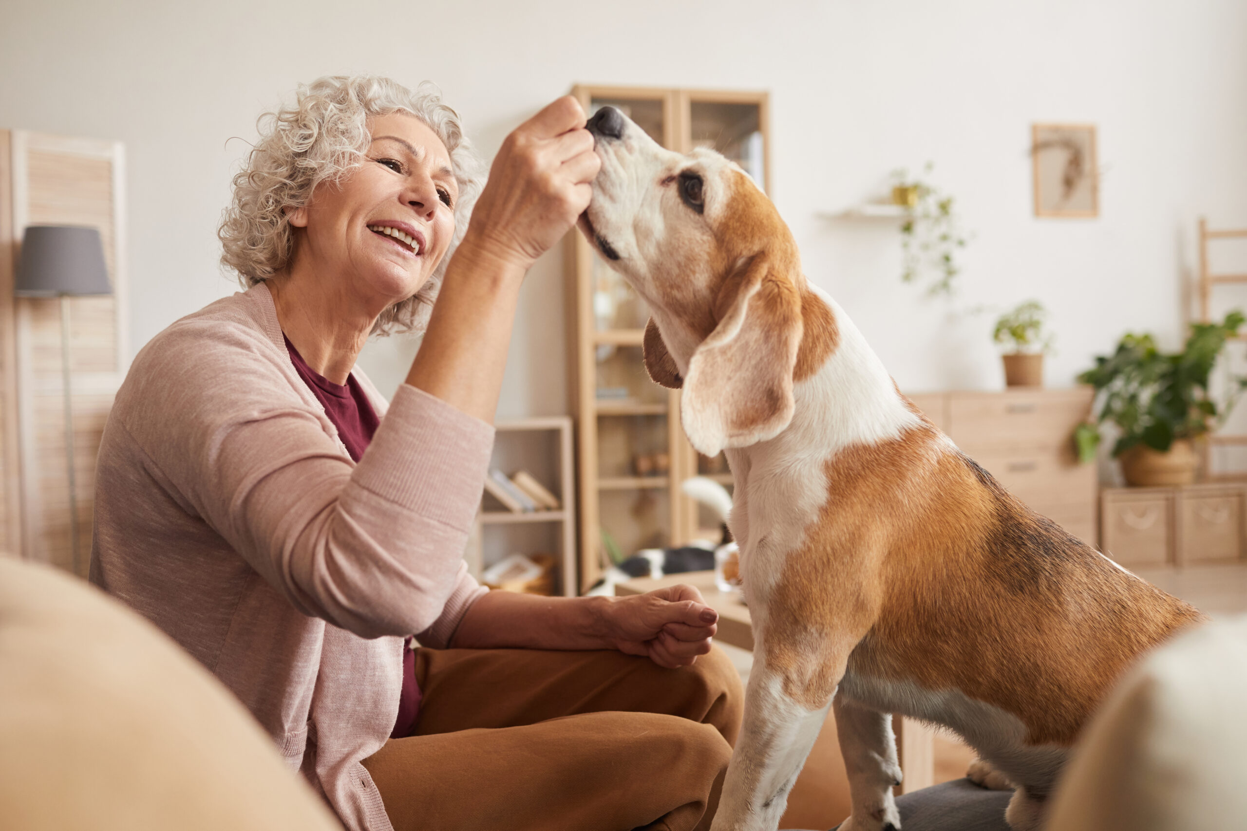 Mature Woman Playing with Dog