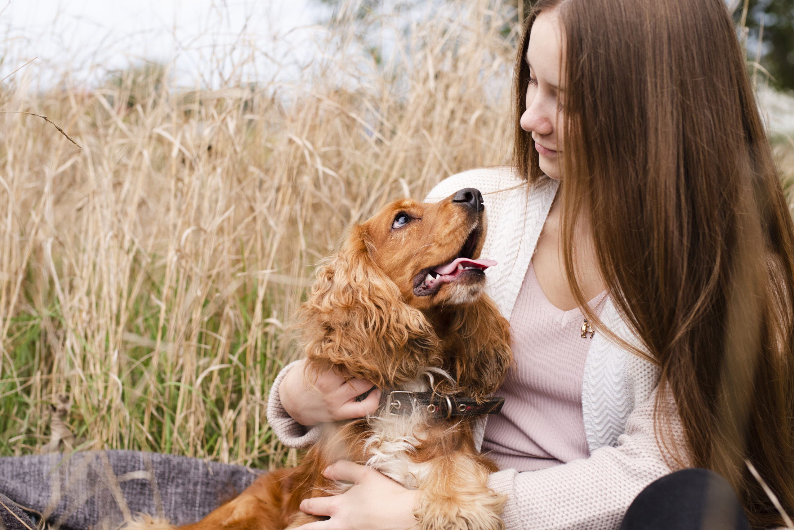 adorable-cocker-spaniel-with-woman