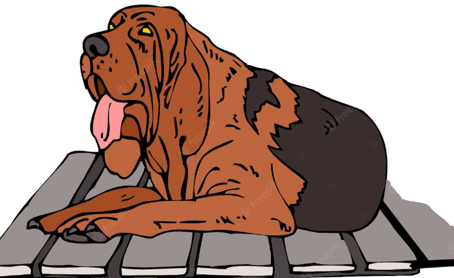 mitos e verdades sobre bloodhound