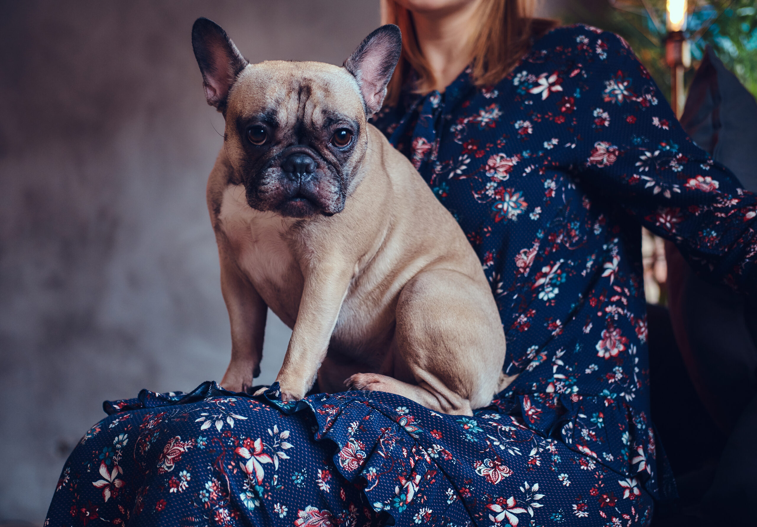 Happy woman sitting with a cute pug in a room with loft interior
