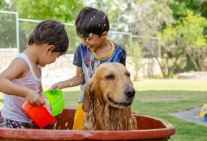 Crianças e o cão brincando na água - Foto: Freepik
