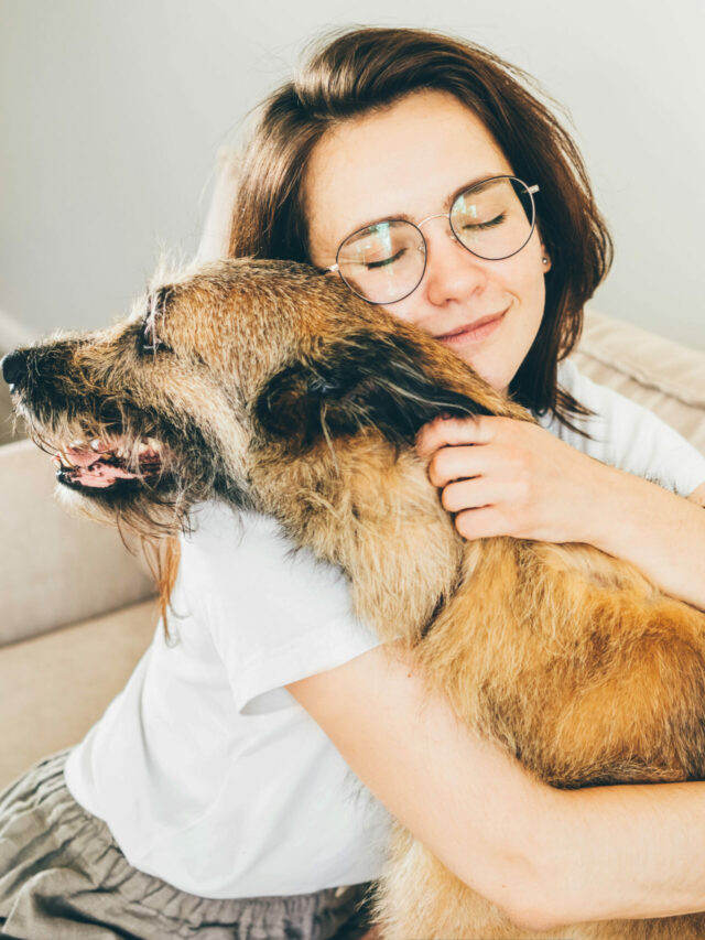 positive-brunette-lady-white-t-shirt-with-glasses-hugs-strokes-adorable-old-grey-dog-sitting-comfortable-couch-light-living-room-home