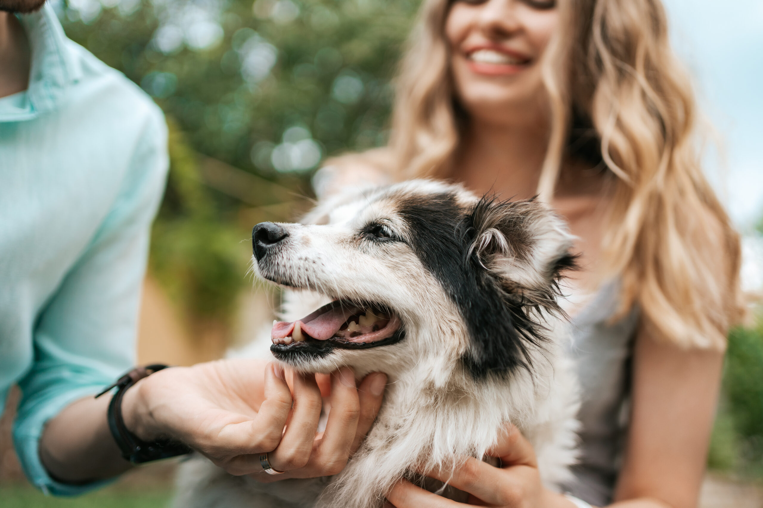 Beautiful couple with a dog on the grass