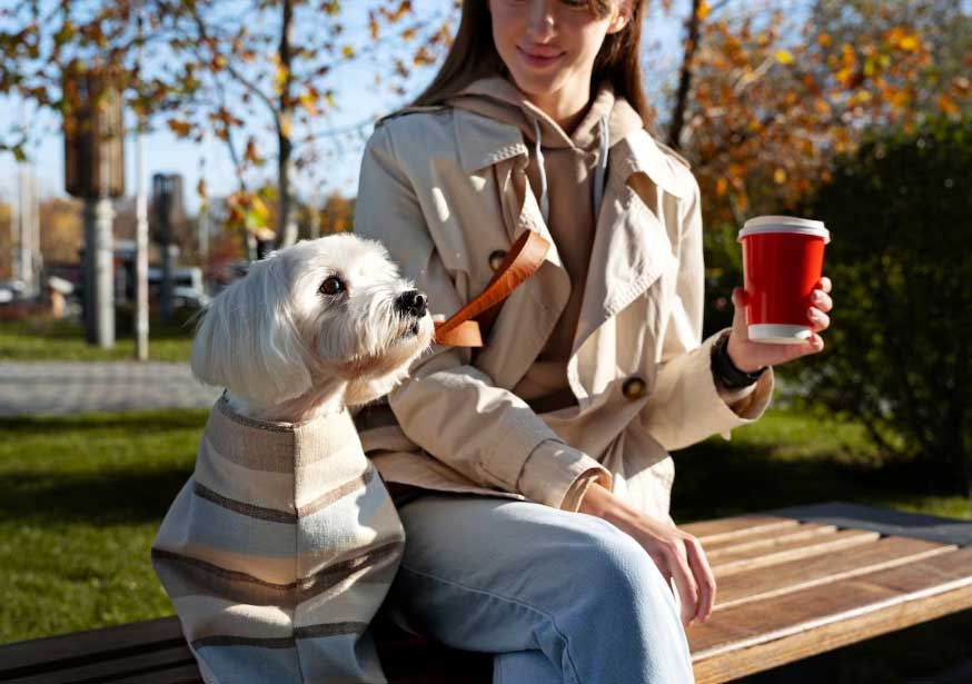 Cachorro gosta mais de frio ou de calor? 2 cão e sua tutora