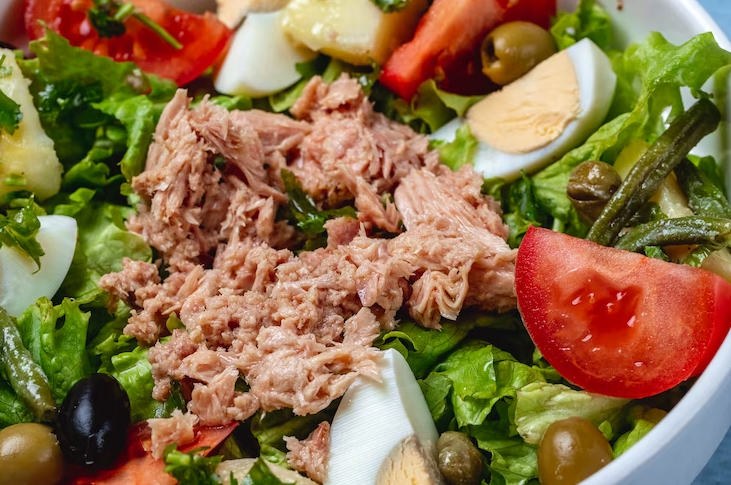 Cachorro pode comer atum? Conheça os benefícios, precauções e dicas 2 atum
