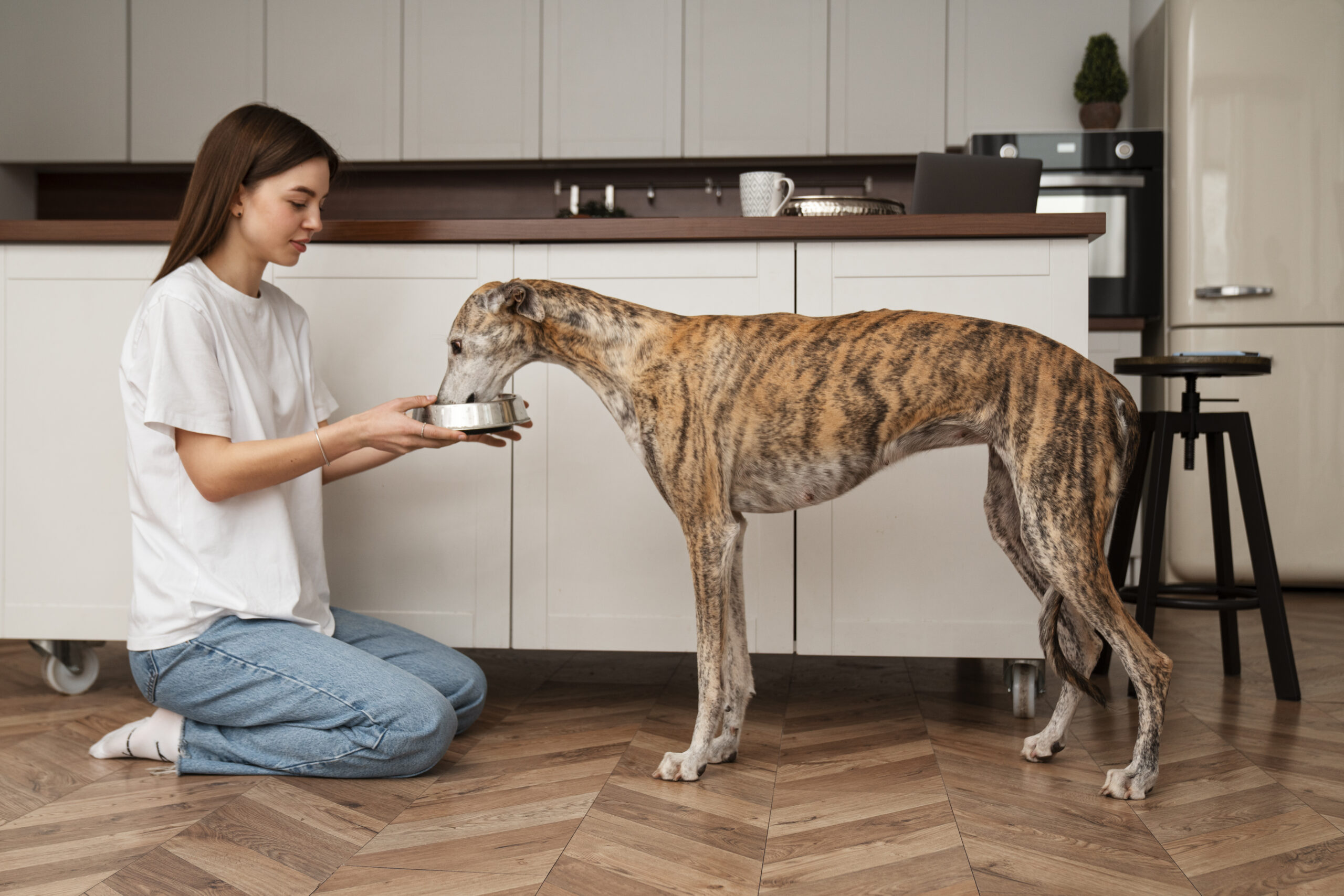 full-shot-woman-feeding-greyhound-dog