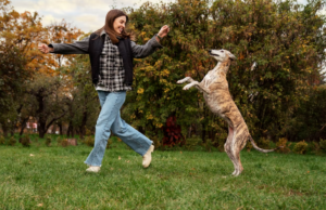 cachorro pulando nas pessoas - Foto: Freepikj