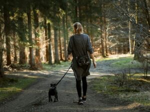 Tutora passeando com seu dog - Foto: Canva