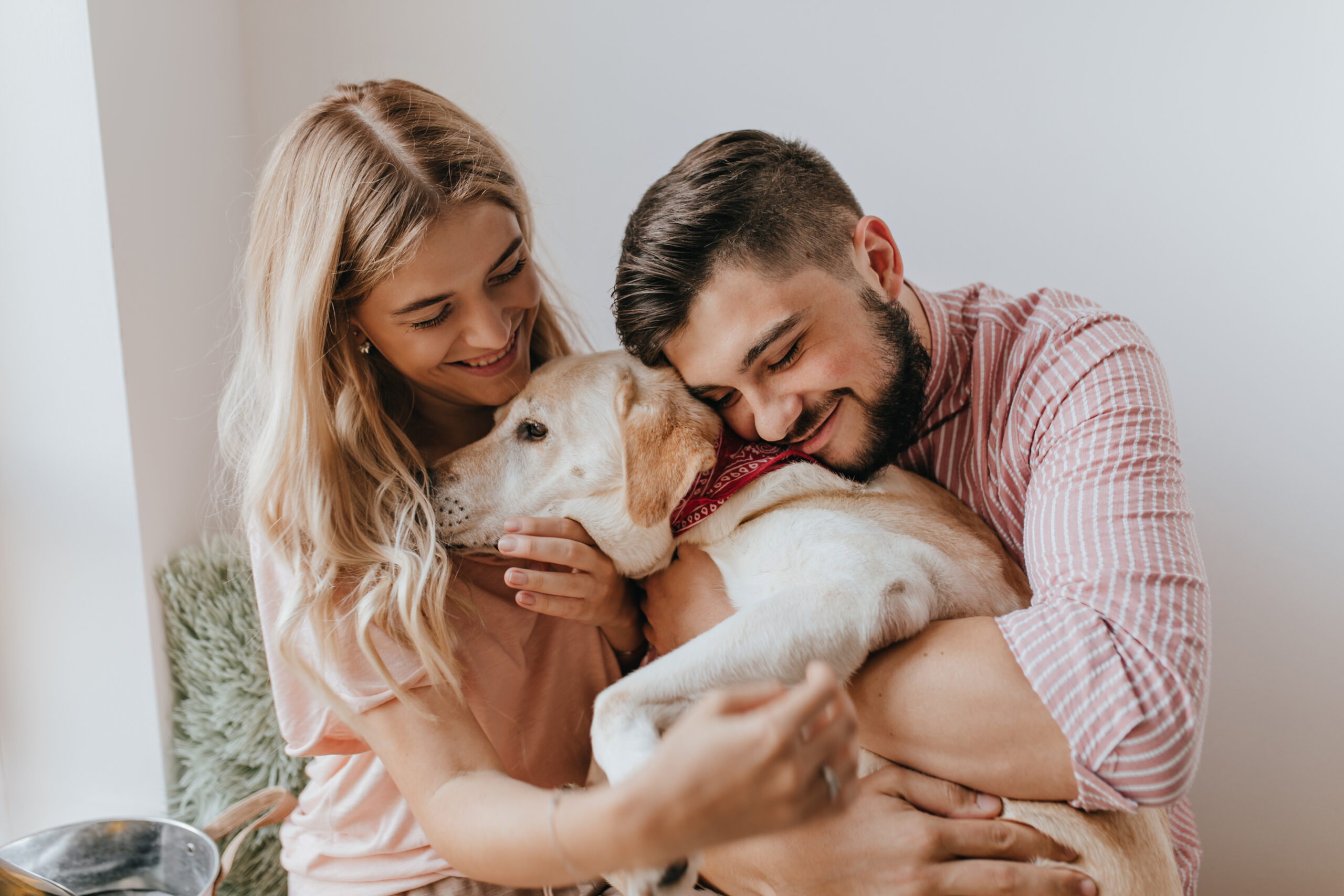 Positive husband and wife play with dog. Man in striped shirt hugs Labrador with tenderness.