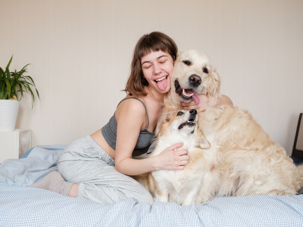 manter os pelos do cachorro sempre bonitos