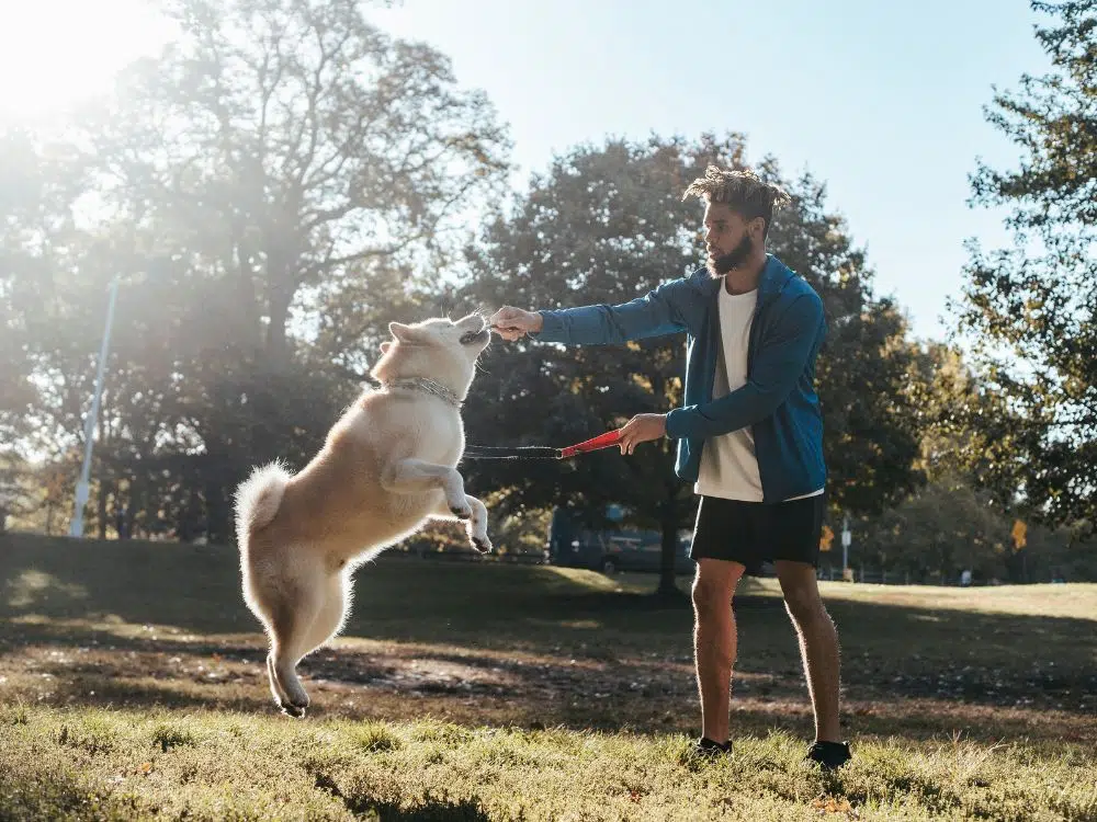 tutor brincando com seu cão