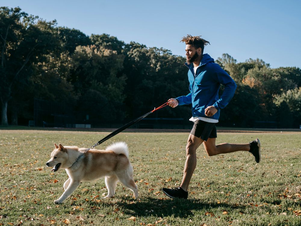 esportes para cachorro