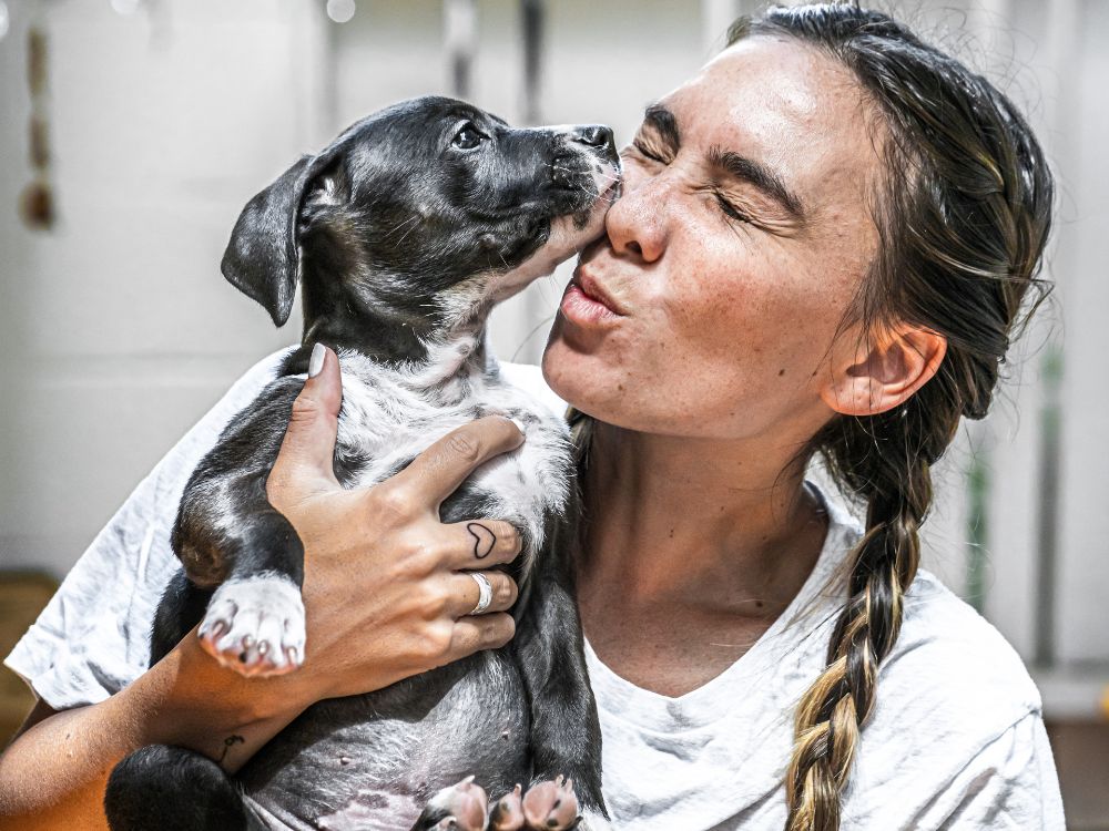 tutora com seu cão