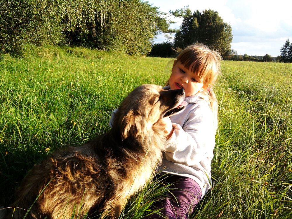 relação entre cachorros e crianças