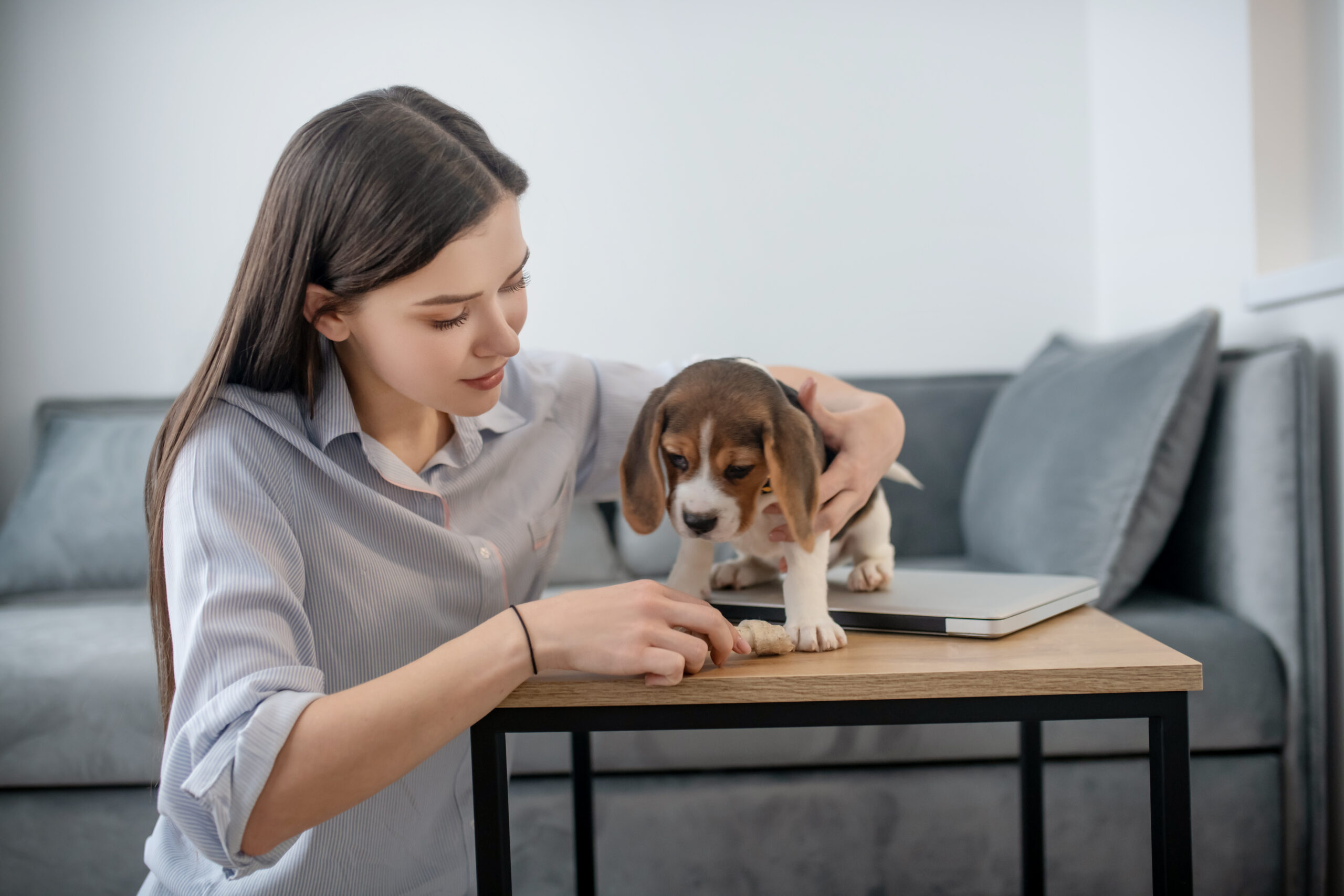 A picture of a young woman with a cute little beagle