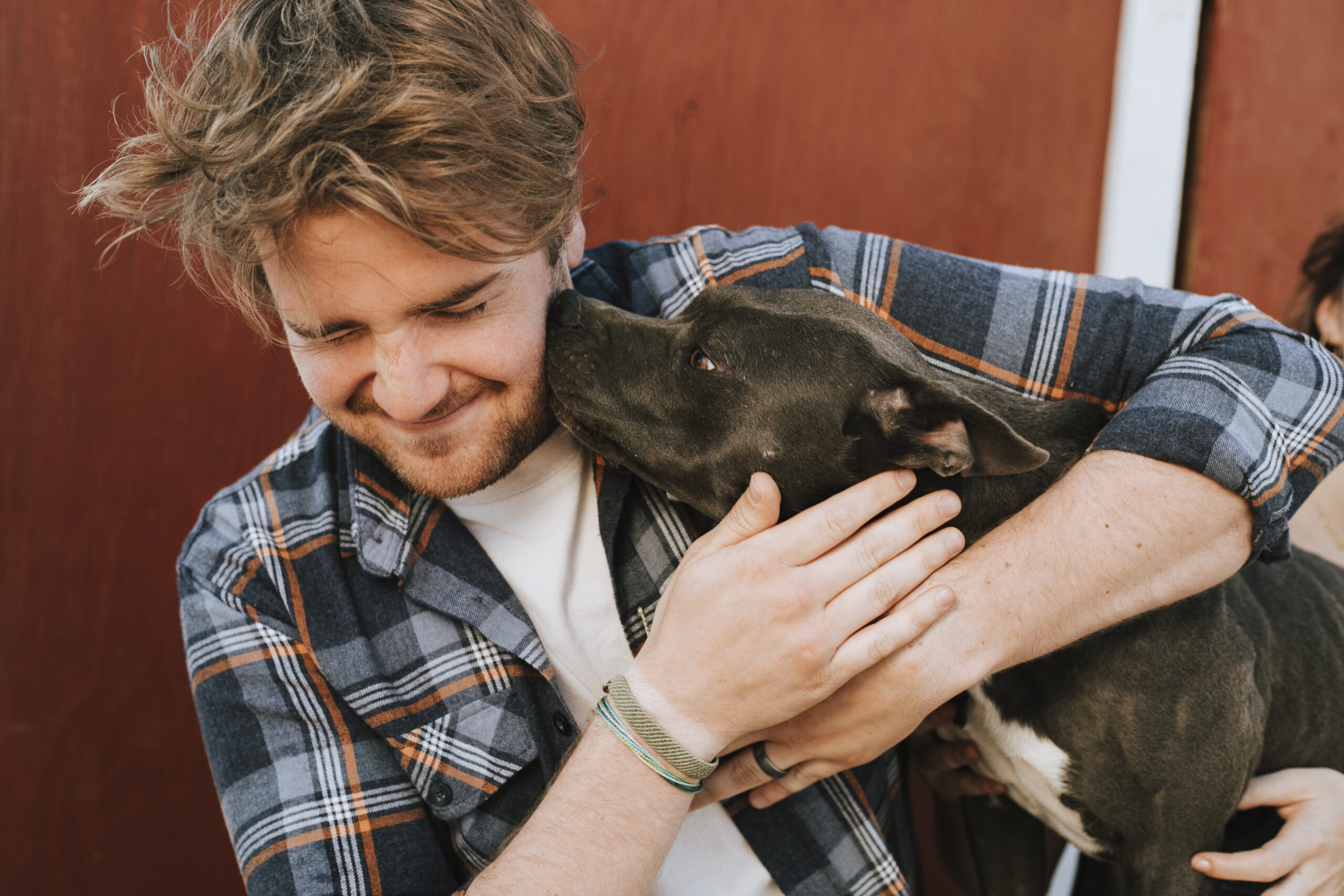 A man with his pit bull terrier dog
