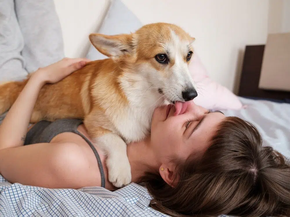 tutora com seu cão