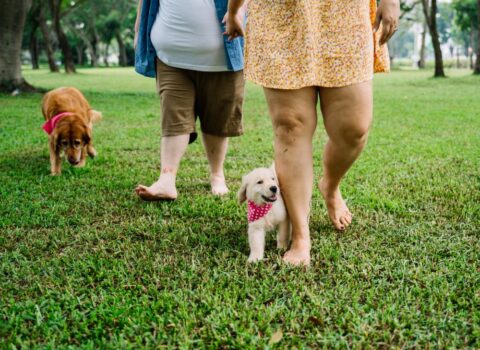 passeando no parque