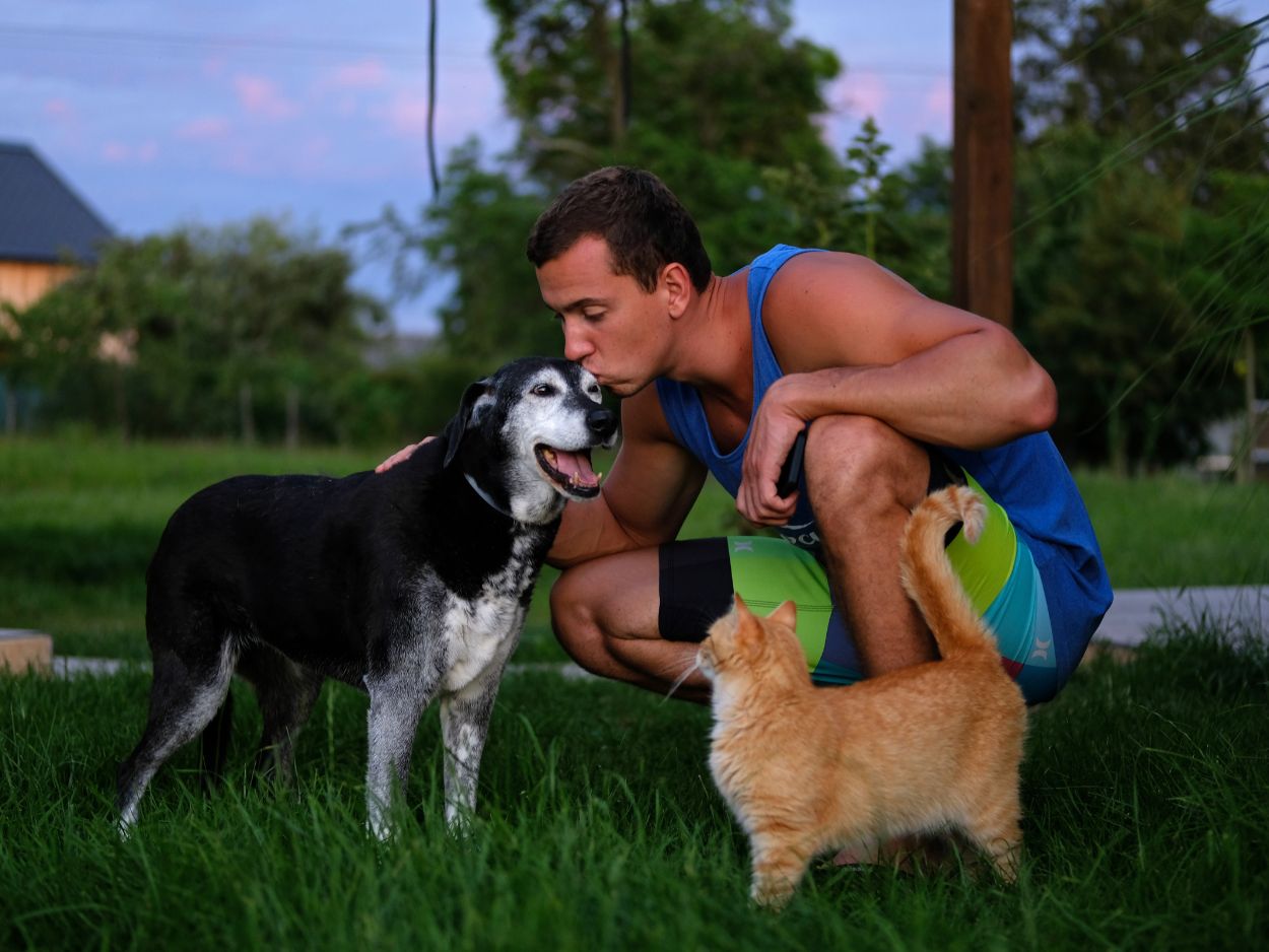 O que o cachorro pensa quando o dono viaja