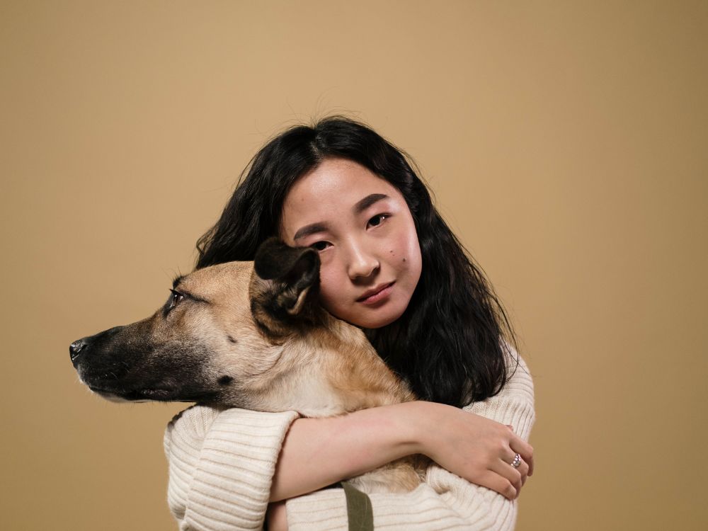 atitudes estressantes para o cachorro