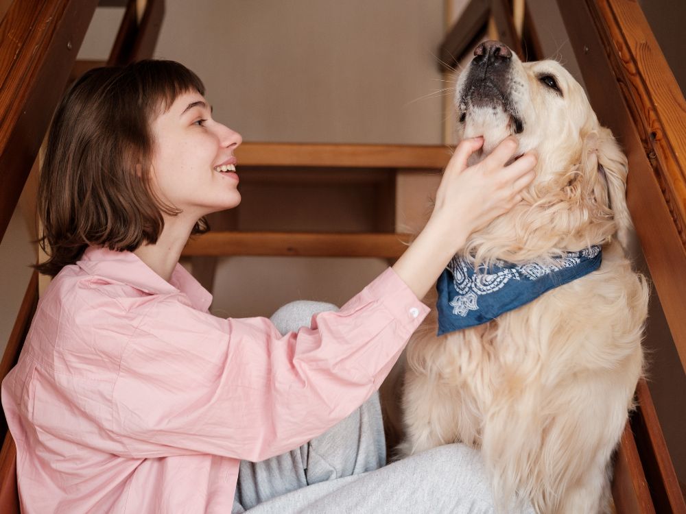 Como manter a casa organizada tendo um pet?
