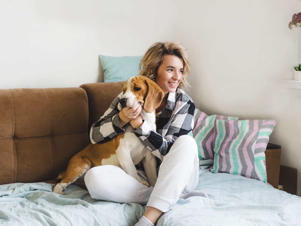 Como manter a casa organizada tendo um pet?