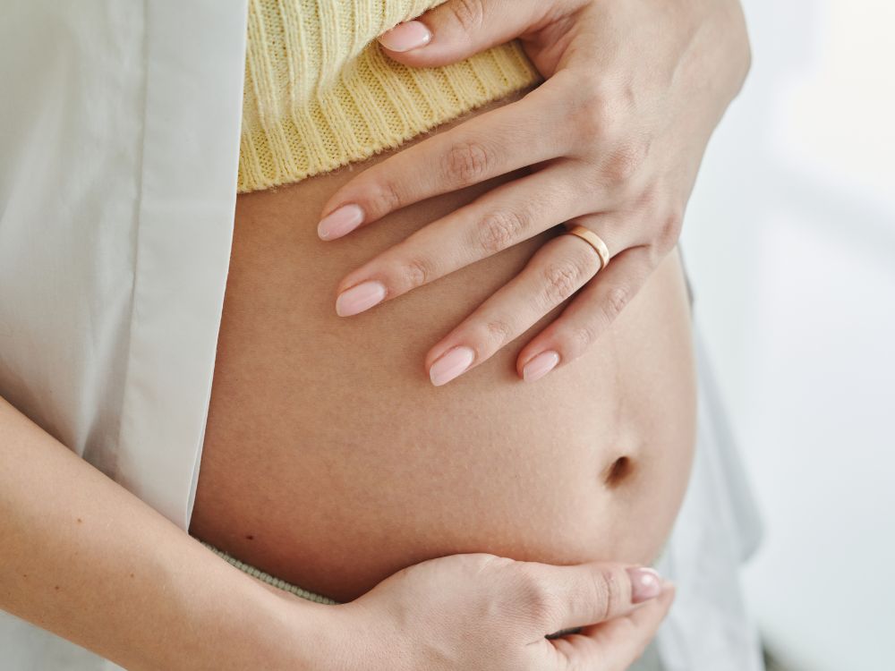 Como preparar seu cão para a chegada de um bebê