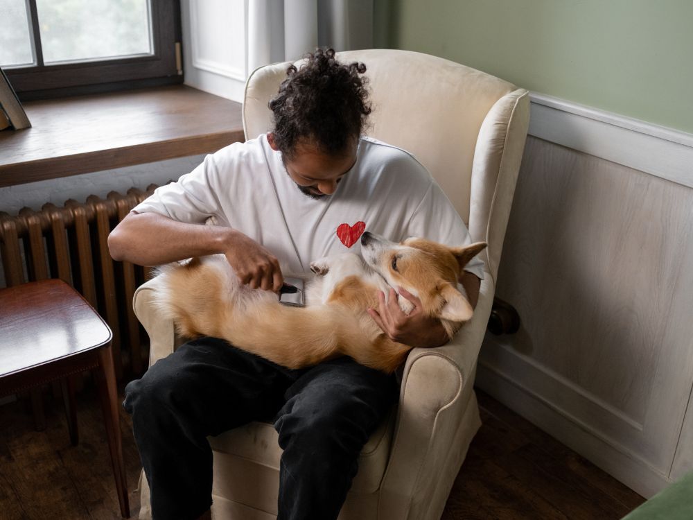 Como se tornar um Pet Sitter