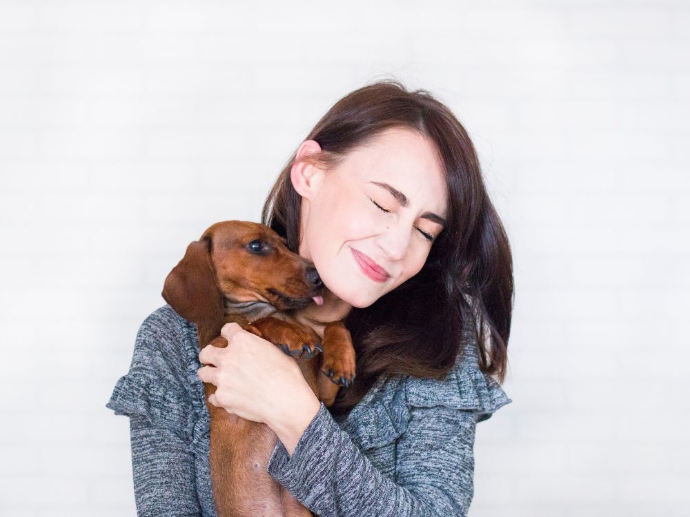 Conheça os benefícios de fazer carinho no cachorro